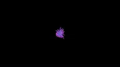 紫色酷炫生长粒子烟花AE模版视频背景视频的预览图